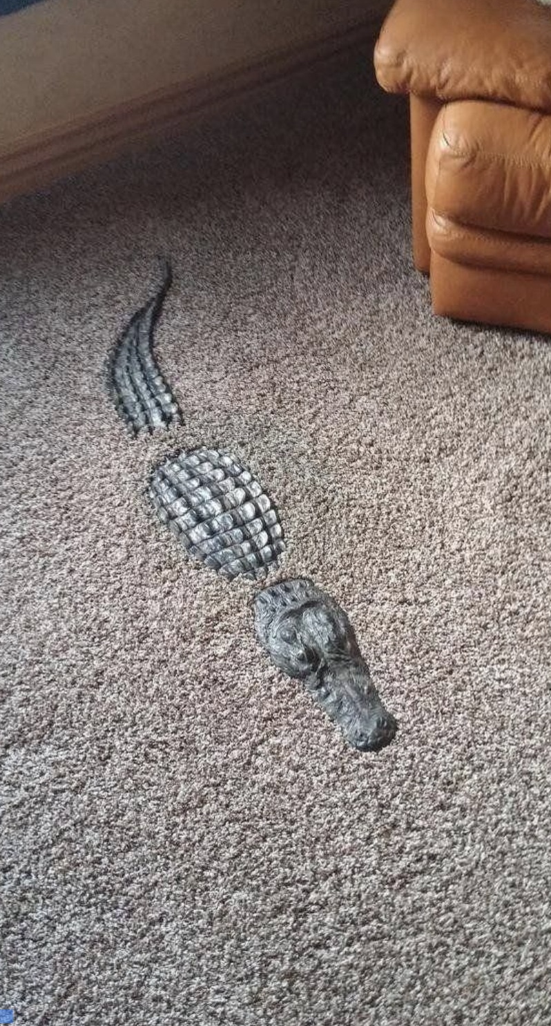 carpet crocodile